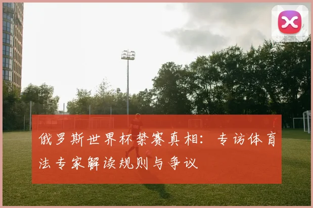 俄罗斯世界杯禁赛真相：专访体育法专家解读规则与争议