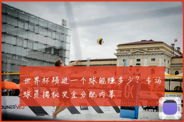 世界杯踢进一个球能赚多少？专访球员揭秘奖金分配内幕